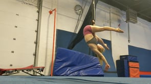 Chapter 7: One-Arm Inversions