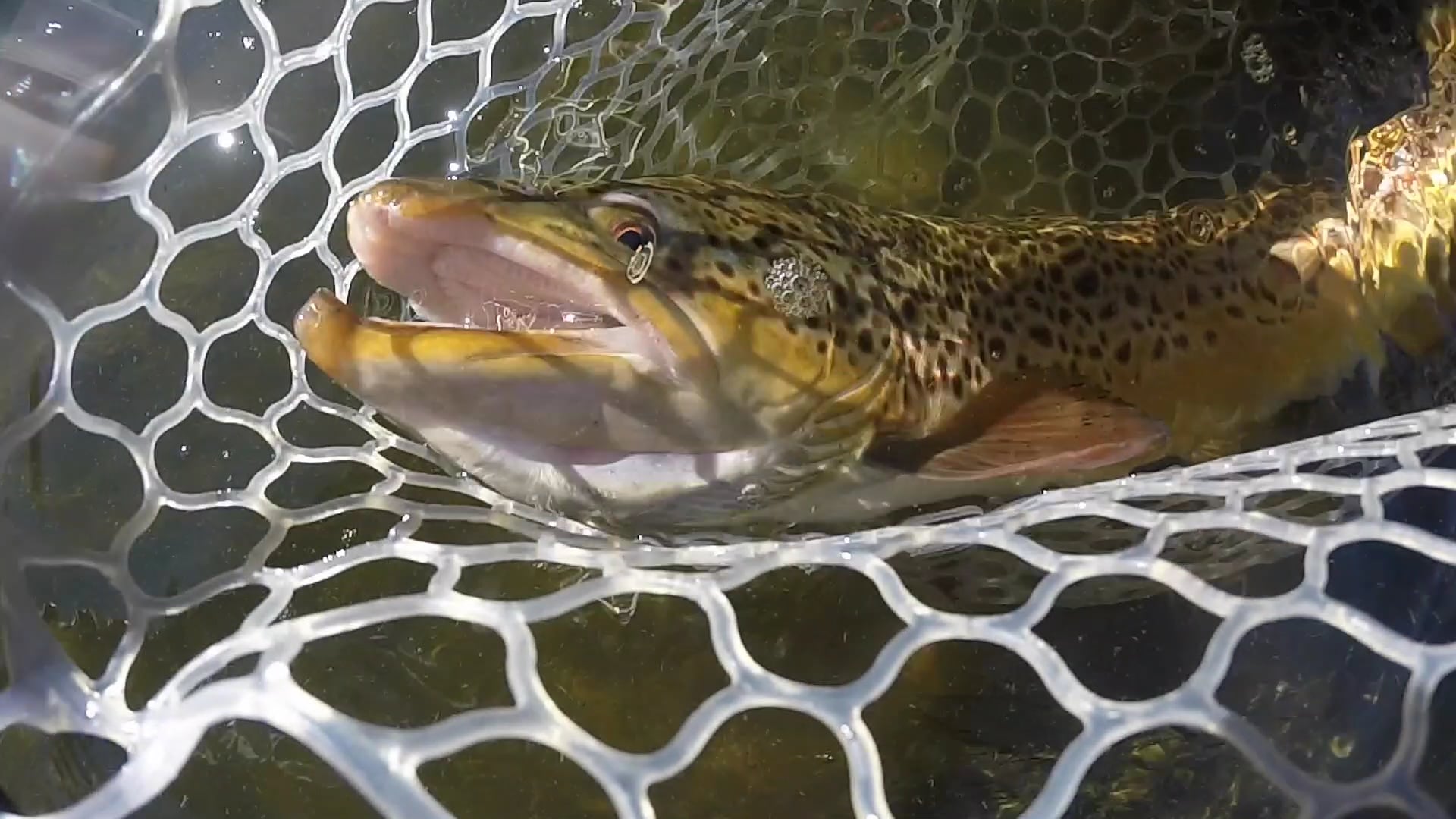 Hartman Woodworking in the Eastern Sierra