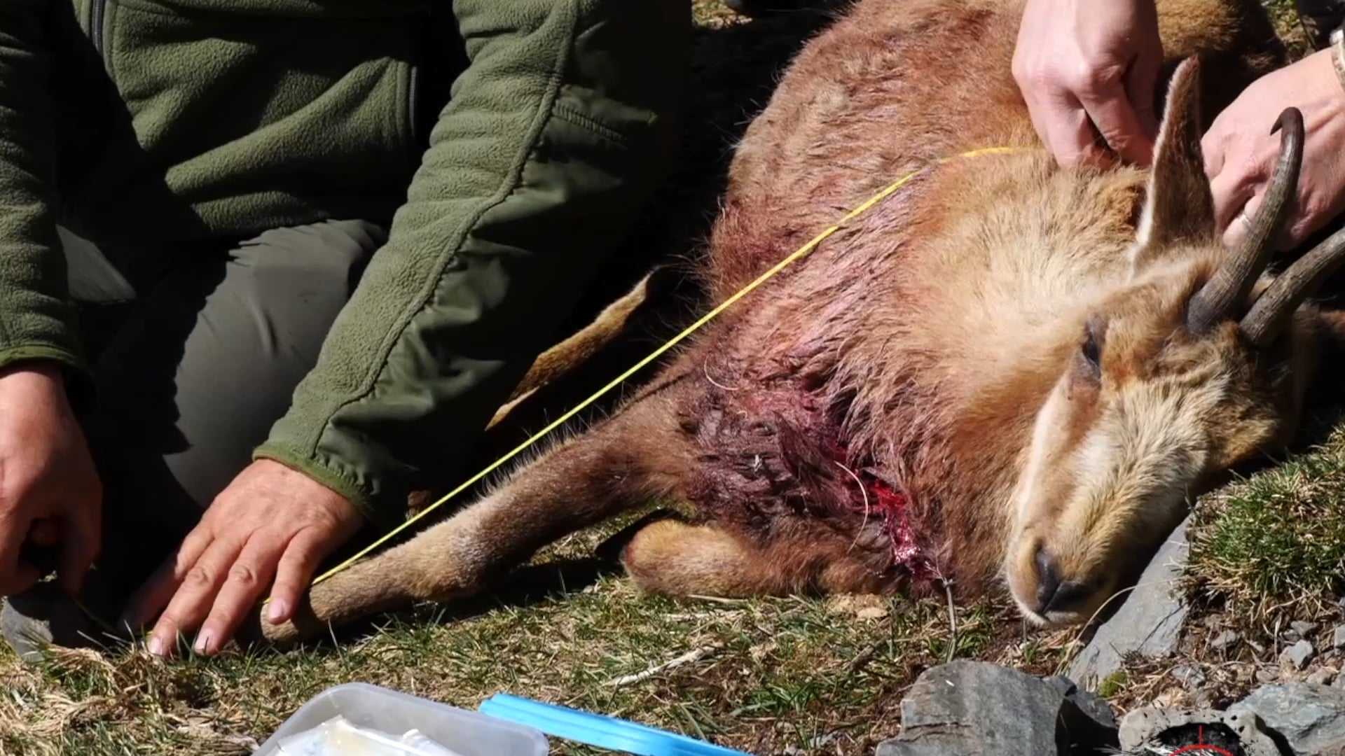 TWCP - Why is Sustainable Utilization of Wildlife Important?