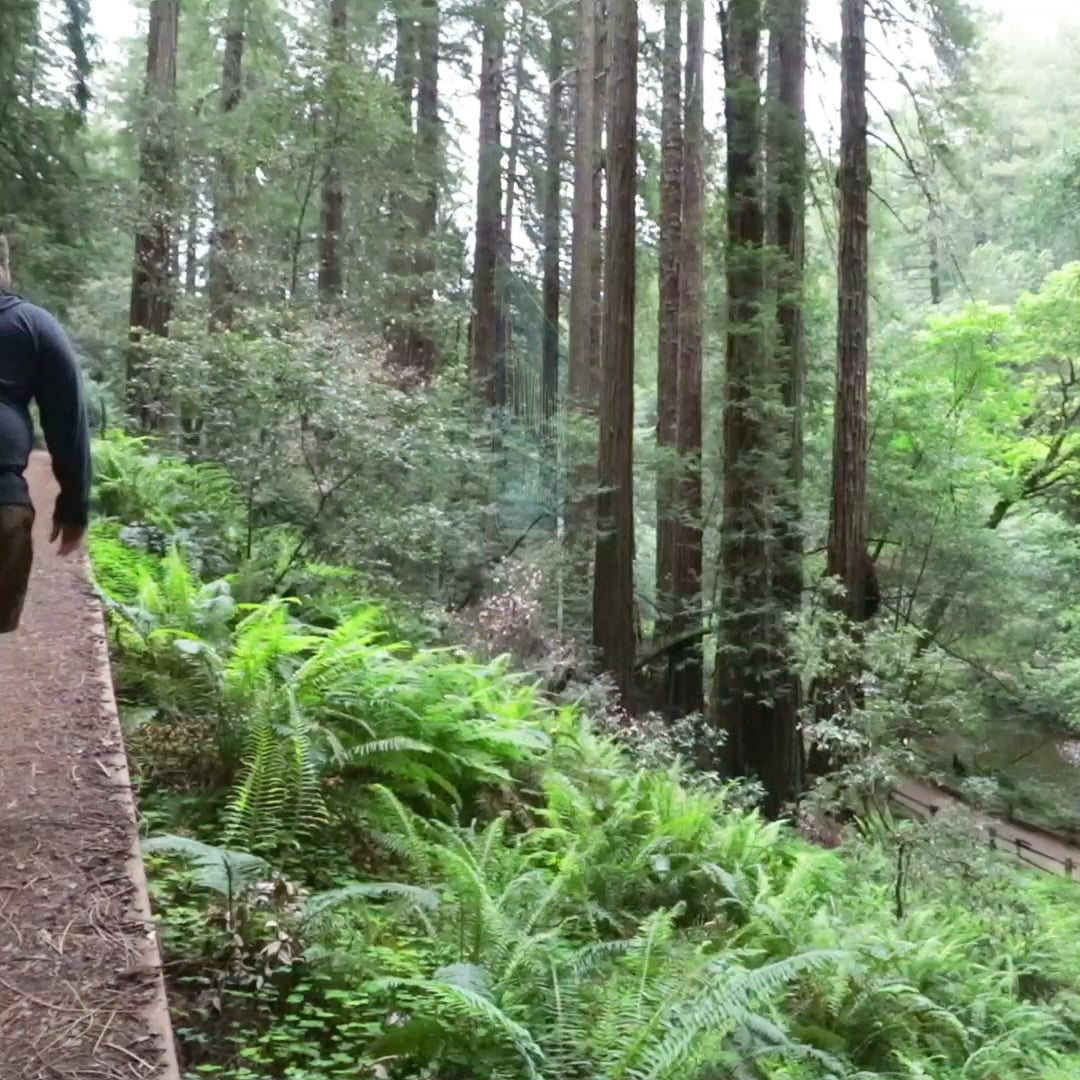 Travelodge WiFi on Vimeo