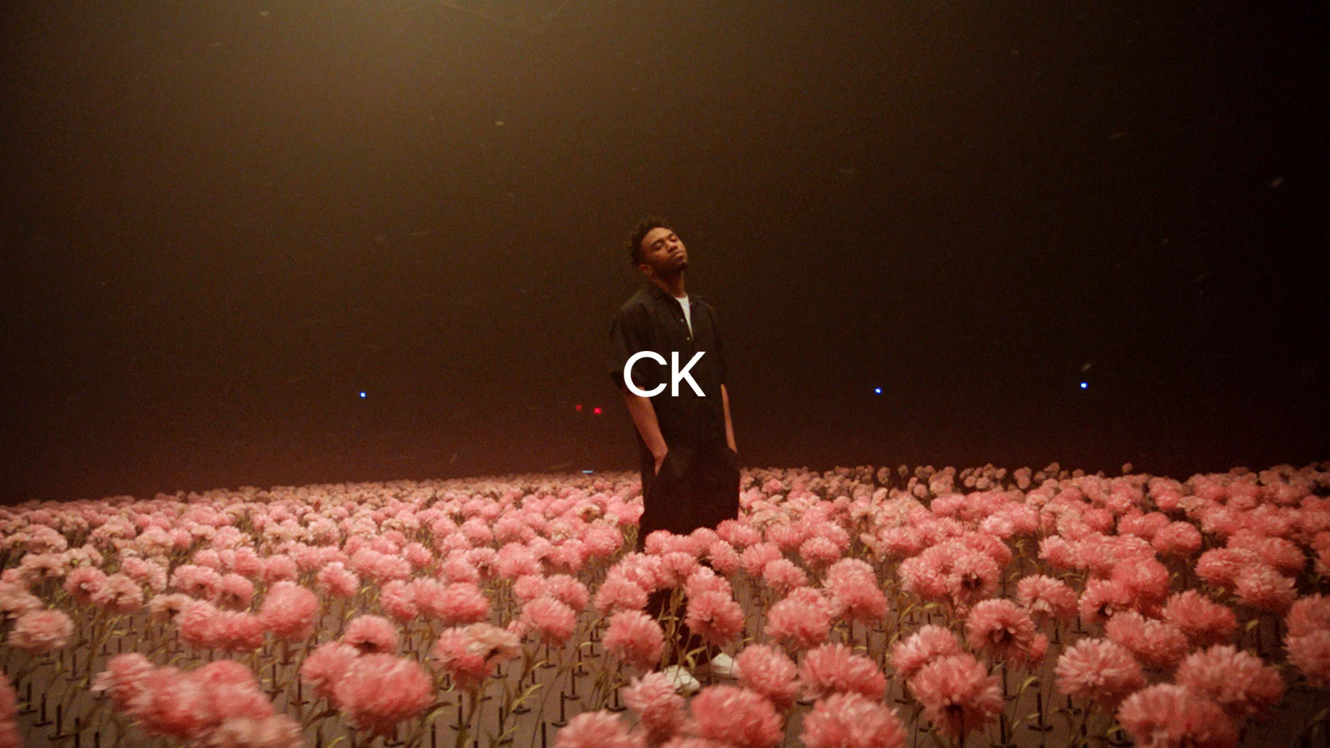 Calvin klein flower sale