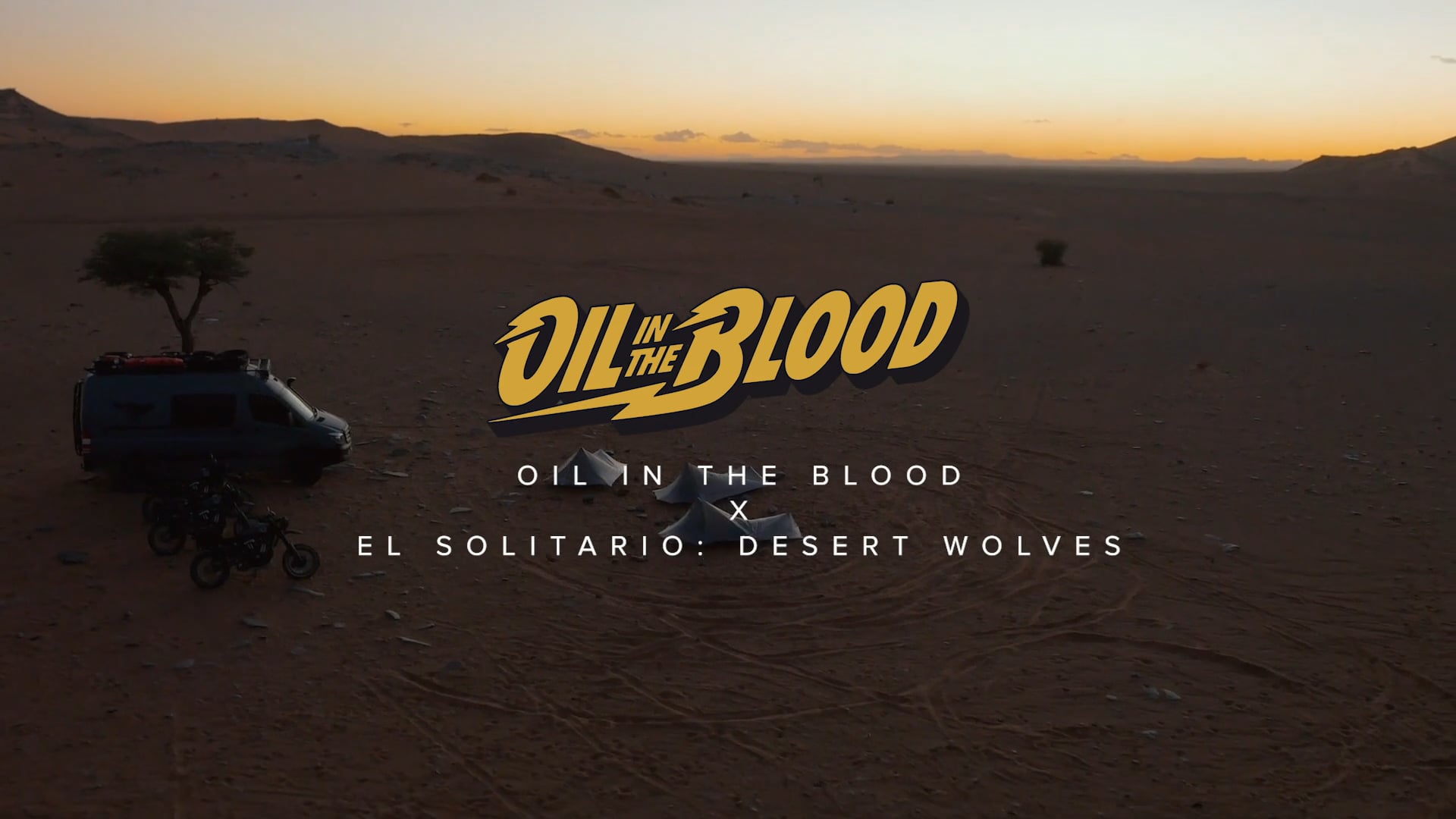 ACTION: OIL IN THE BLOOD CAPTURES THE DESERT WOLVES