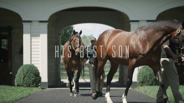 Into Mischief Sire Line - 30 Second Commercial