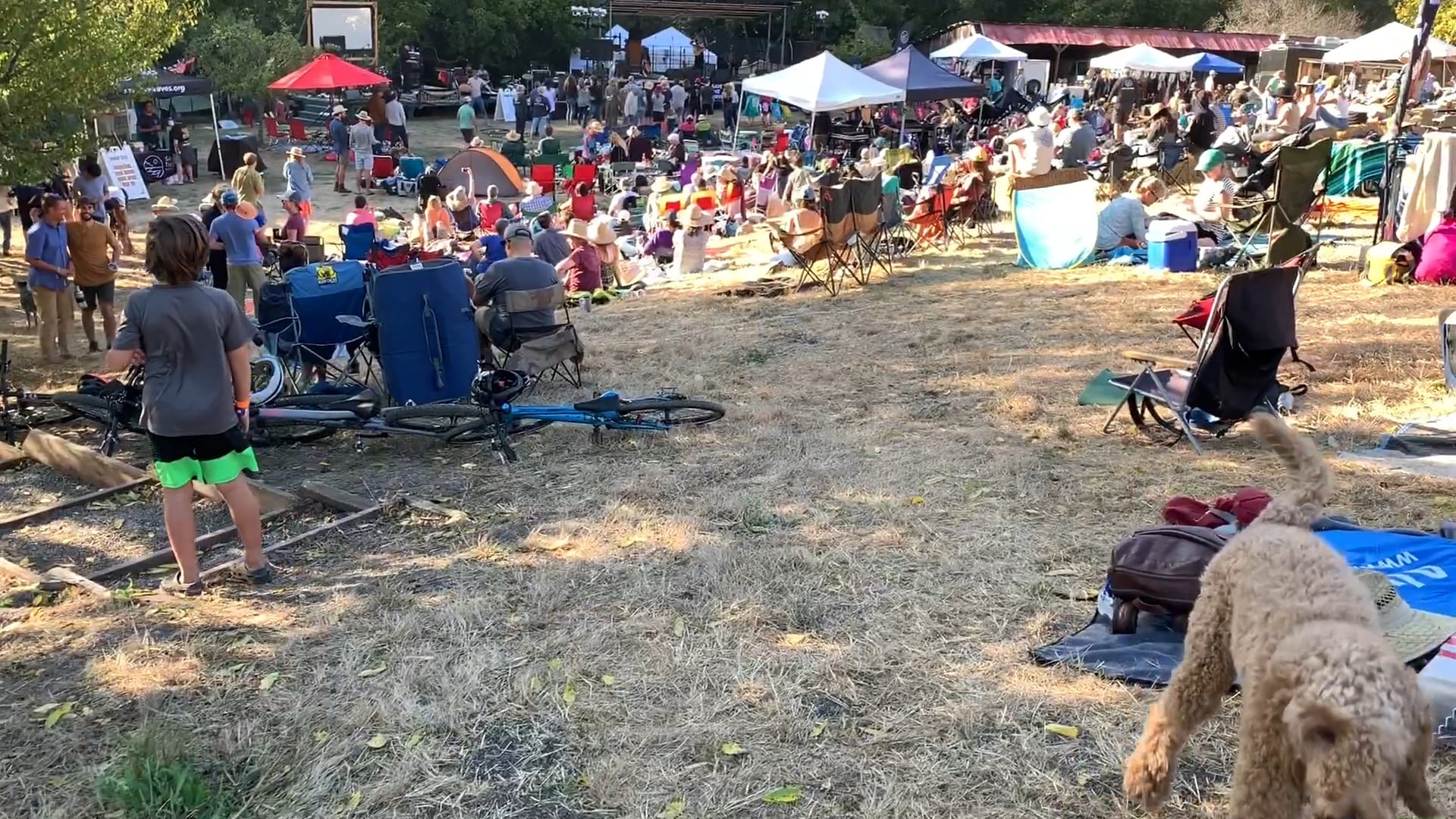 2019 Redgate Music Fest