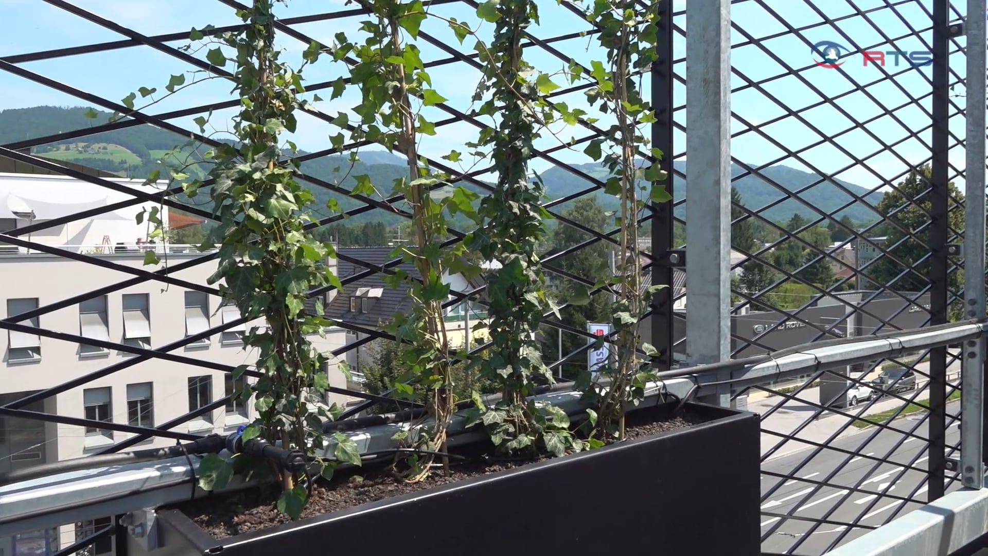 fassade-aus-efeu-neue-zentrale-der-salzburg-wohnbau-ist-klimavorbild