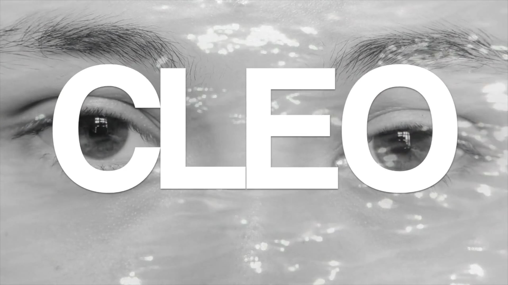 CLEO