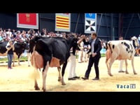 Los mejores momentos del Concurso Nacional 2019