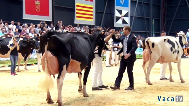 Los mejores momentos del Concurso Nacional 2019