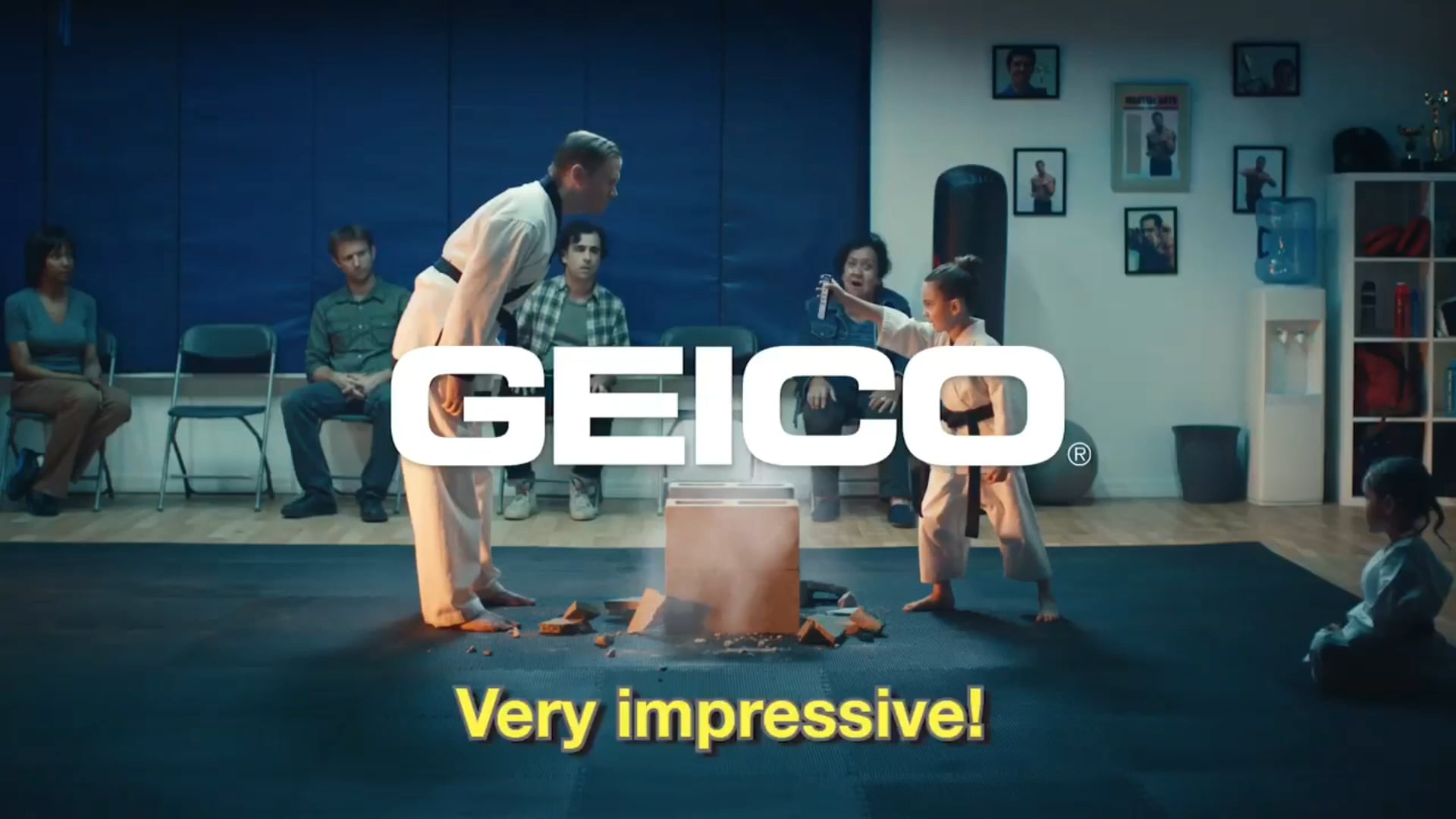 GEICO - "HOW TO... "