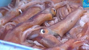 L'Escala anirà al Japó a la trobada de les Badies més belles del món