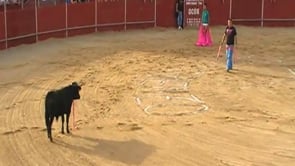 Becerrada en Segovia, fiestas del barrio de San Lorenzo – 10-08-2010 – Igualdad Animal