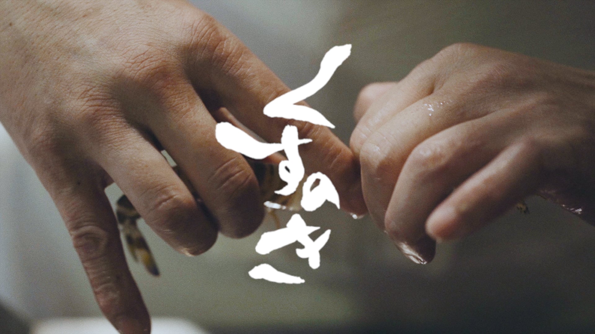 天ぷら くすのき