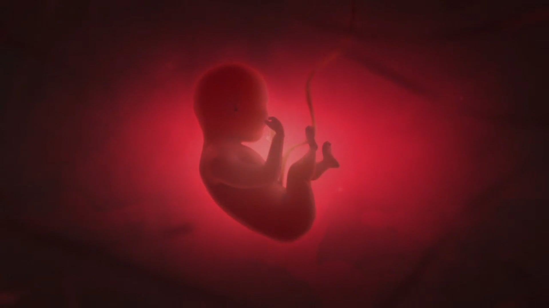 Cecil Pregnancy and Family Resource Center