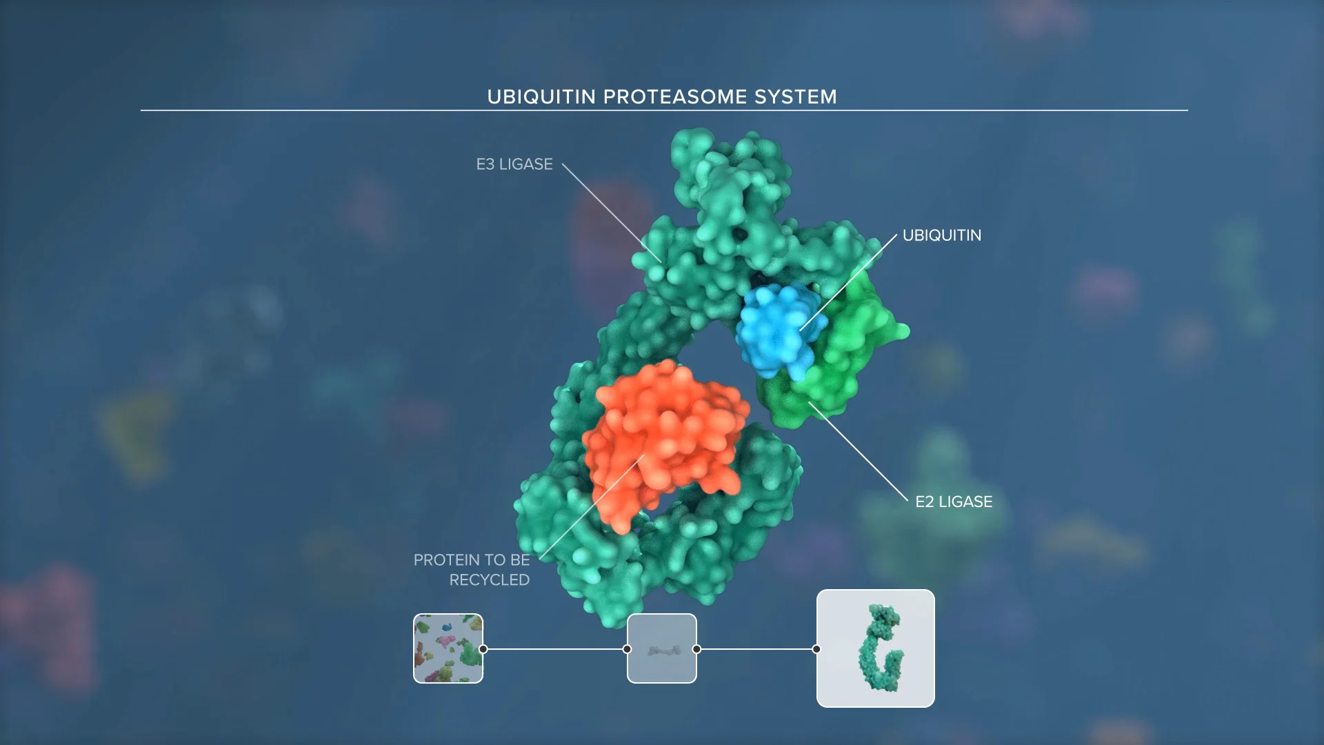 2023 WeDigBio's Why Dig Bio–Major Motivations Across Scale for Digitizing  Biodiversity on Vimeo