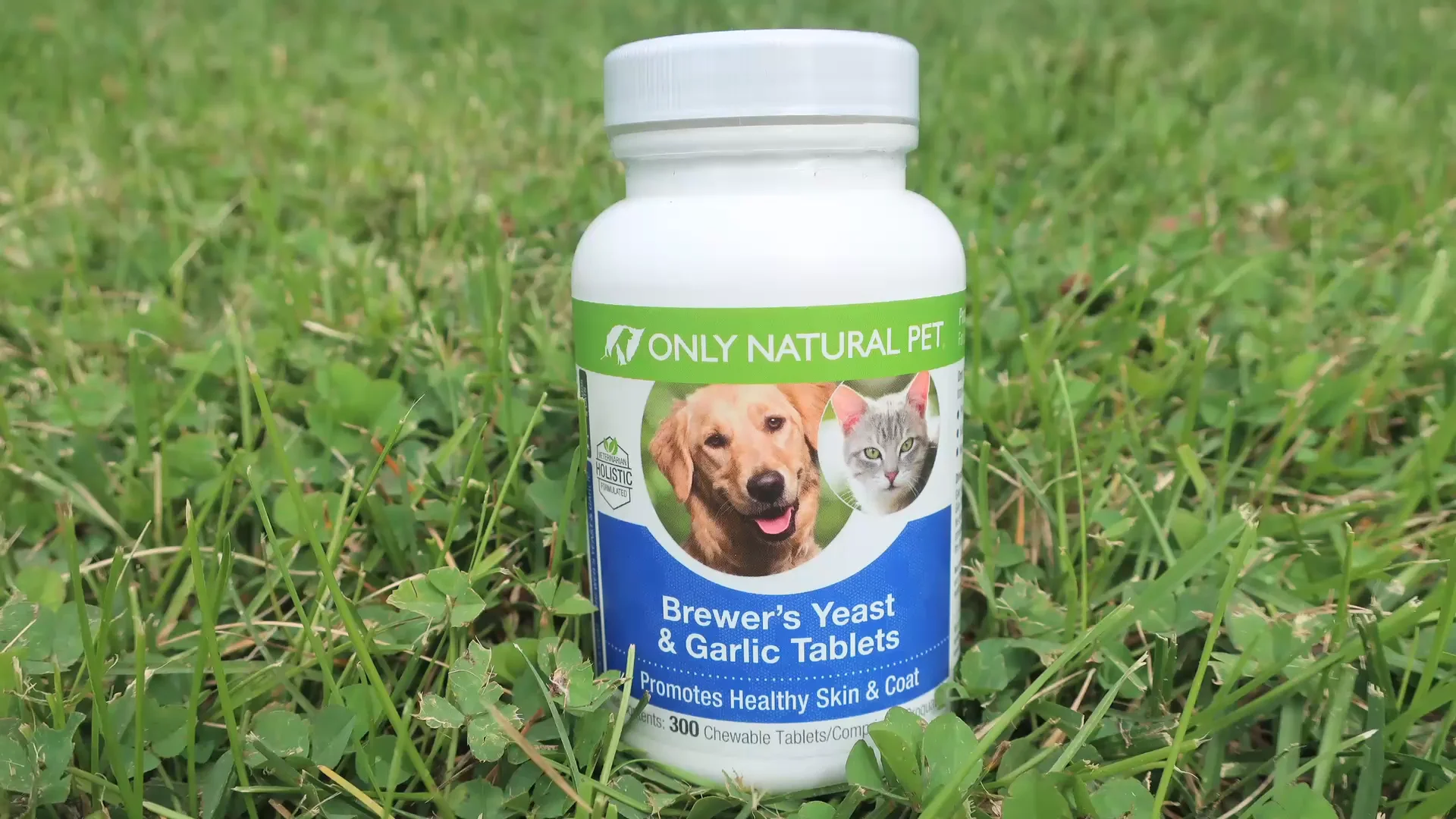 Garlic tablets for outlet dogs