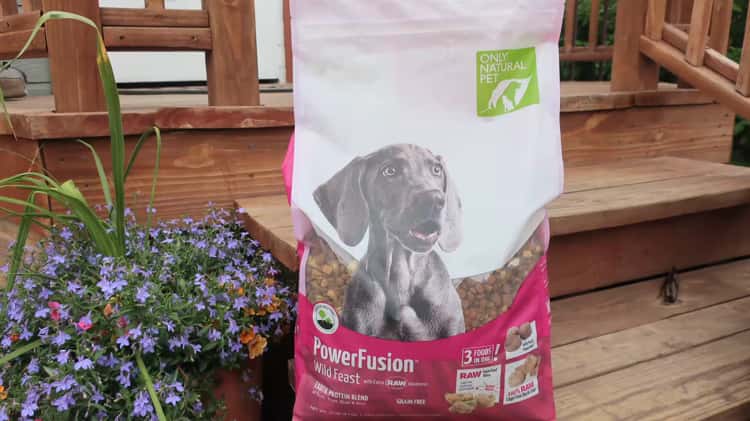 Wild feast dog food sale