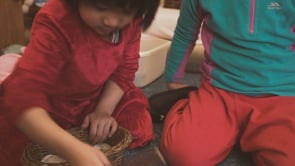 Steiner approach to play thumbnail