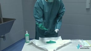Lavado de manos, colocación de guantes y colocación de bata para una cirugía totalmente aséptica