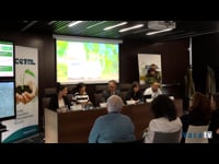Inauguración