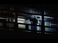 Video Image