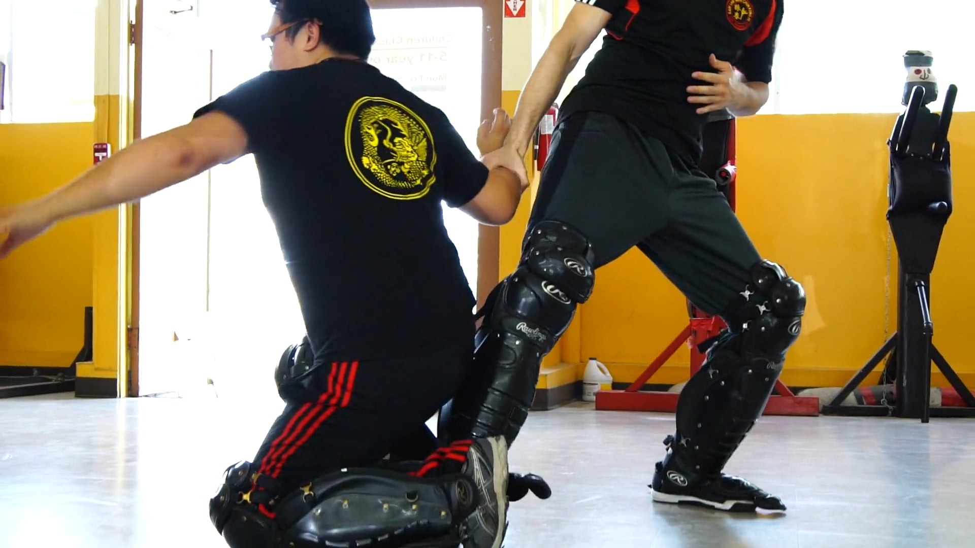 Gary Lam Wing Chun Promo