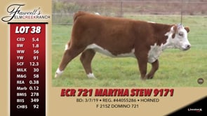 Lot #38 - ECR 721 MARTHA STEW 9171