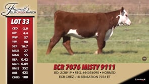 Lot #33 - ECR 7076 MISTY 9111