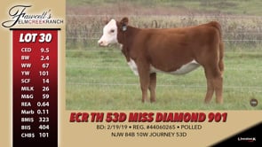 Lot #30 - ECR TH 53D MISS DIAMOND 901