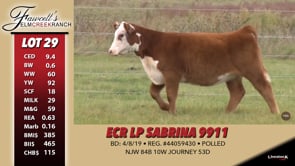 Lot #29 - ECR LP SABRINA 9911