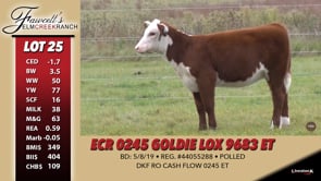 Lot #25 - ECR 0245 GOLDIE LOX 9683 ET