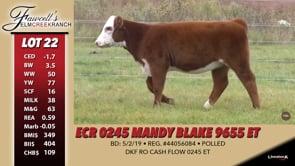 Lot #22 - ECR 0245 MANDY BLAKE 9655 ET