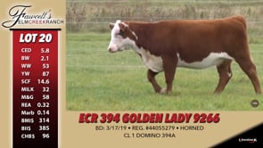 Lot #20 - ECR 394 GOLDEN LADY 9266