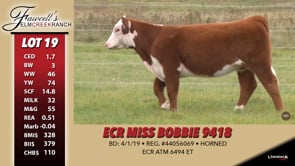 Lot #19 - ECR MISS BOBBIE 9418