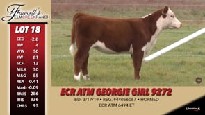 Lot #18 - ECR ATM GEORGIE GIRL 9272