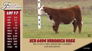 Lot #17 - ECR 6494 VERONICA 9255