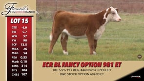 Lot #15 - ECR BL FANCY OPTION 981 ET