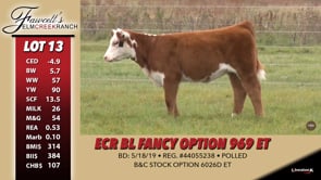 Lot #13 - ECR BL FANCY OPTION 969 ET