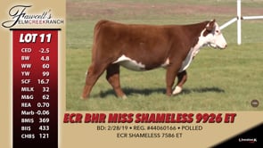 Lot #11 - ECR BHR MISS SHAMELESS 9926 ET