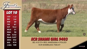Lot #10 - ECR SHAME GIRL 9403