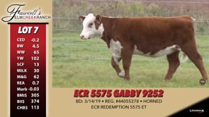 Lot #7 - ECR 5575 GABBY 9252