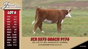 Lot #6 - ECR 5575 GRACIE 9176