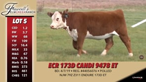 Lot #5 - ECR 173D CANDI 9478 ET