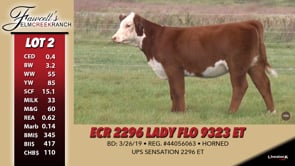 Lot #2 - ECR 2296 LADY FLO 9323 ET