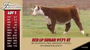 Lot #1 - ECR LP SUGAR 9171 ET