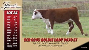 Lot #24 - ECR 0245 GOLDIE LADY 9670 ET