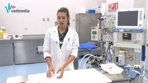 Evaluación preanestésica