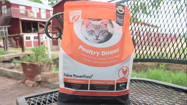 Only natural pet kitten power dinner sale