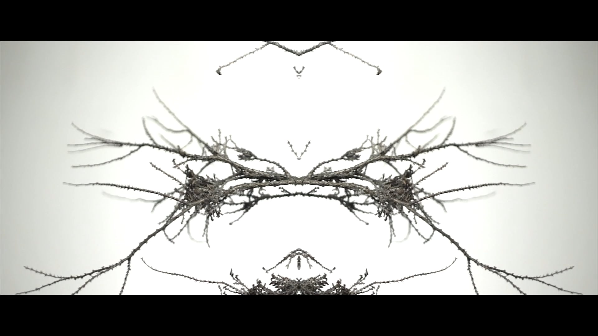 BOTANY Featuring Speaker Face