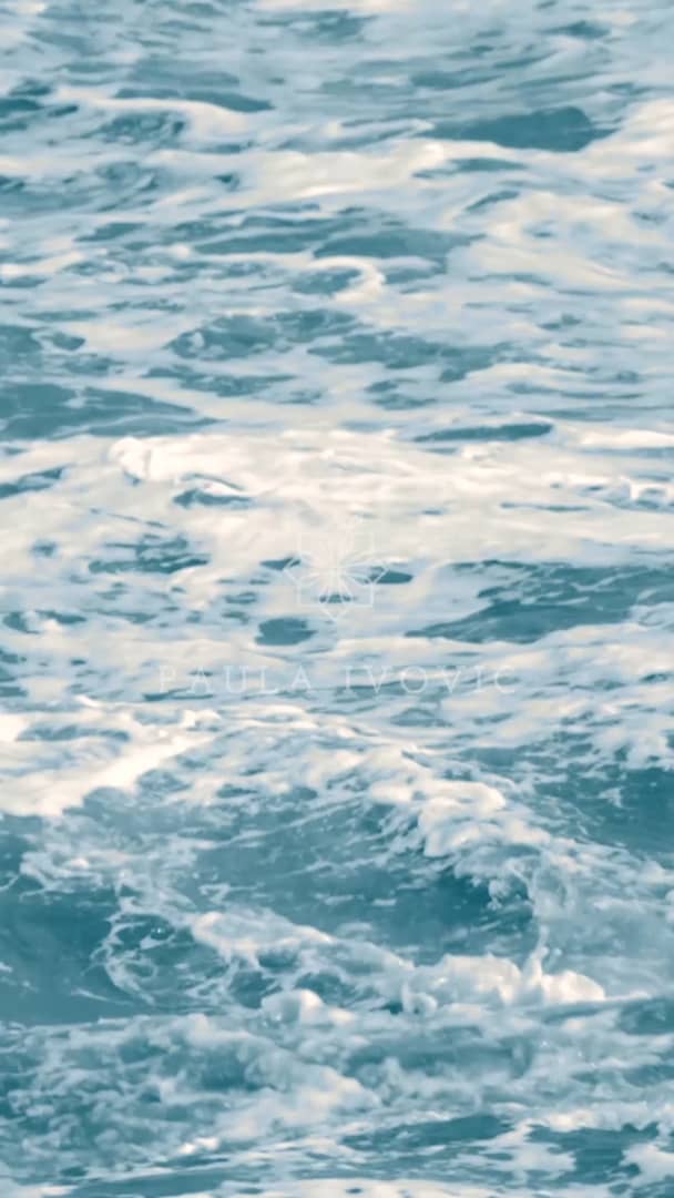 Video Campaña ocean&corals s / s 19 de Paula Ivovic on Vimeo
