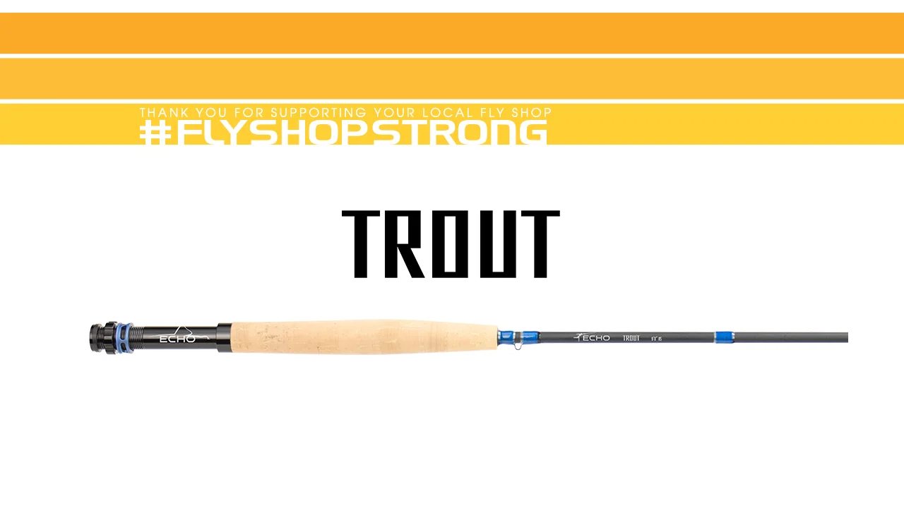 Trout | Echo Fly Fishing